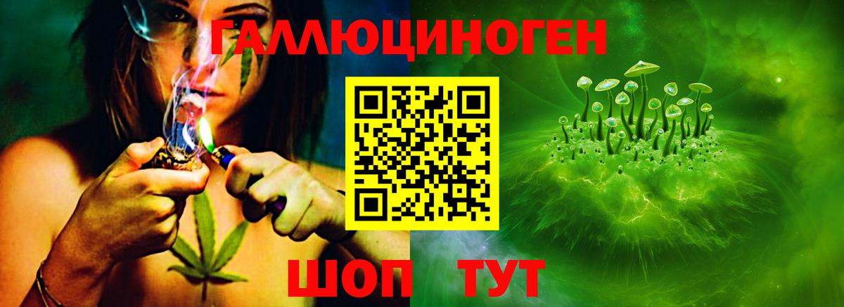 Галлюциногенные грибы Cubensis Дербент